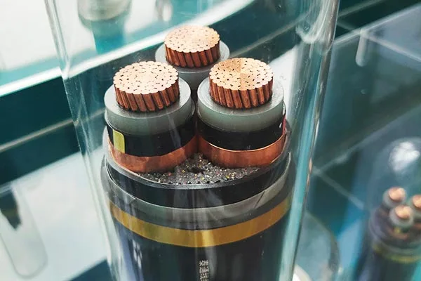 Asistență cuprinzătoare de servicii